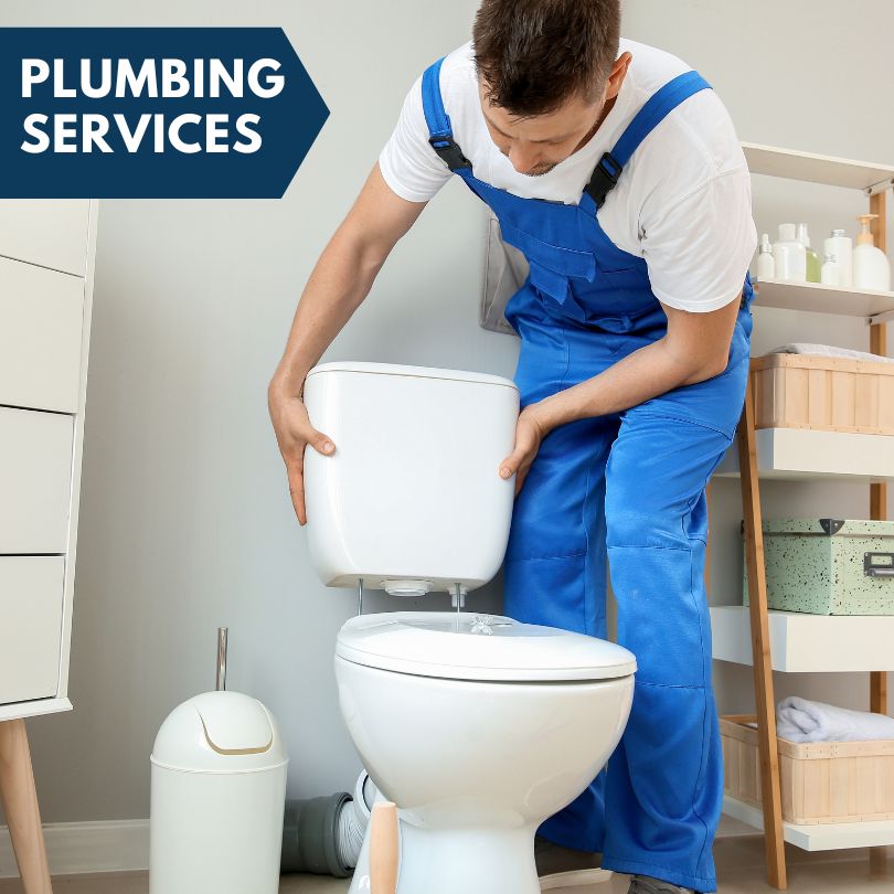 Plumbing Company in Cooksville, IL